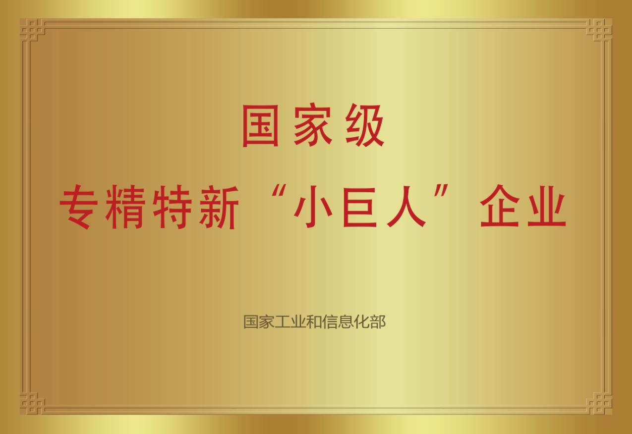 國家級專精特新“小巨人”企業(yè)