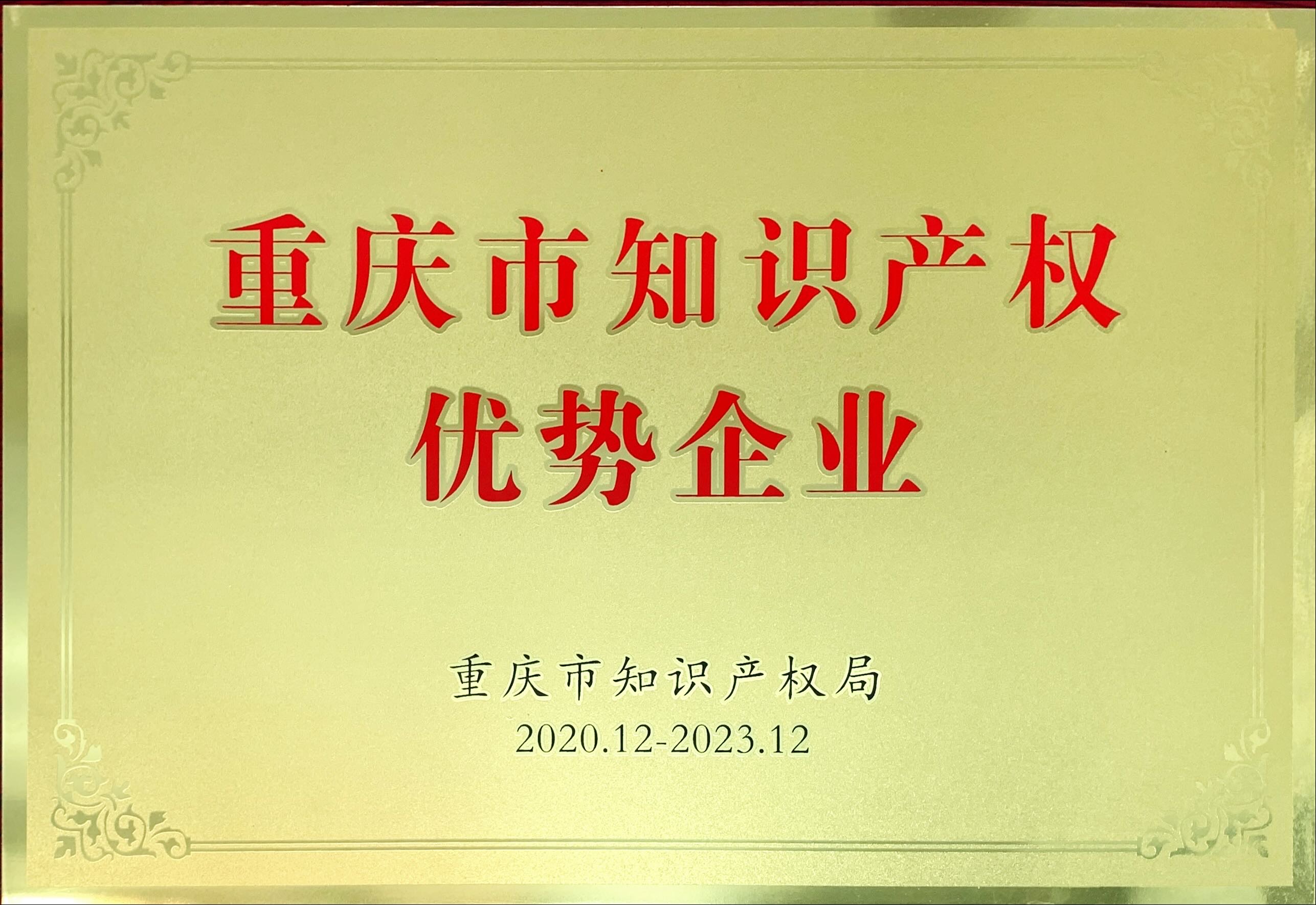 重慶市知識產(chǎn)權(quán)優(yōu)勢企業(yè)